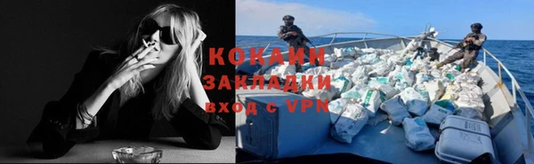 PSILOCYBIN Бронницы